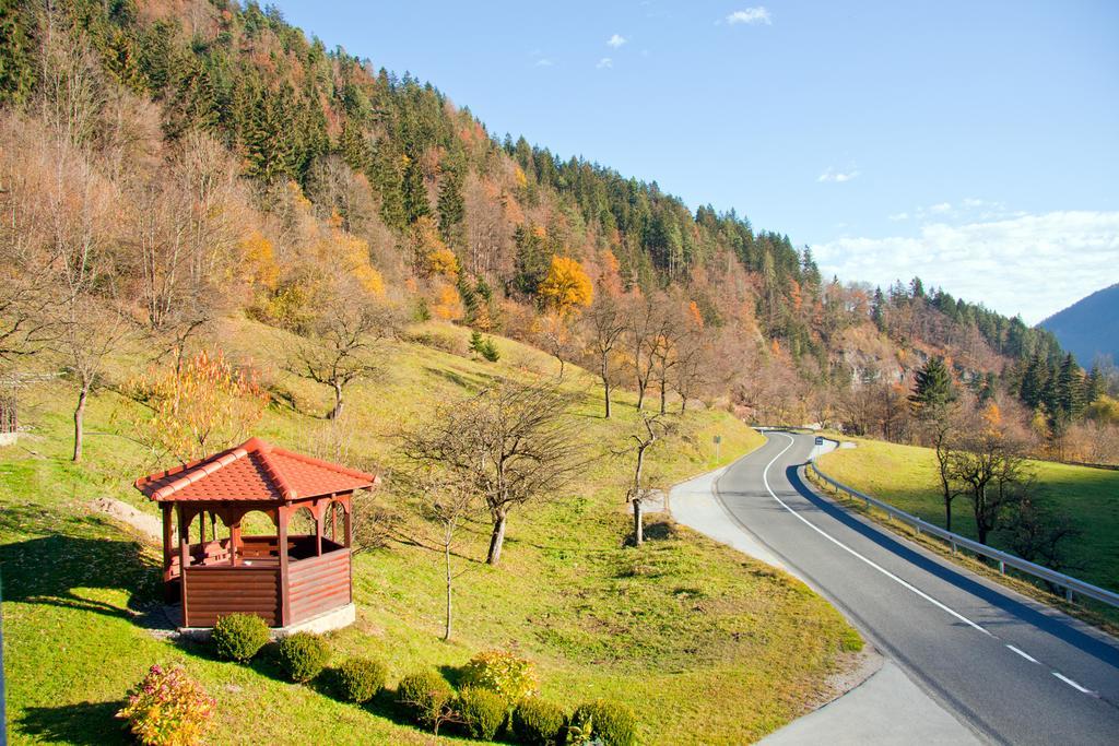 Farm Stay Bukovje Ljubno Екстер'єр фото
