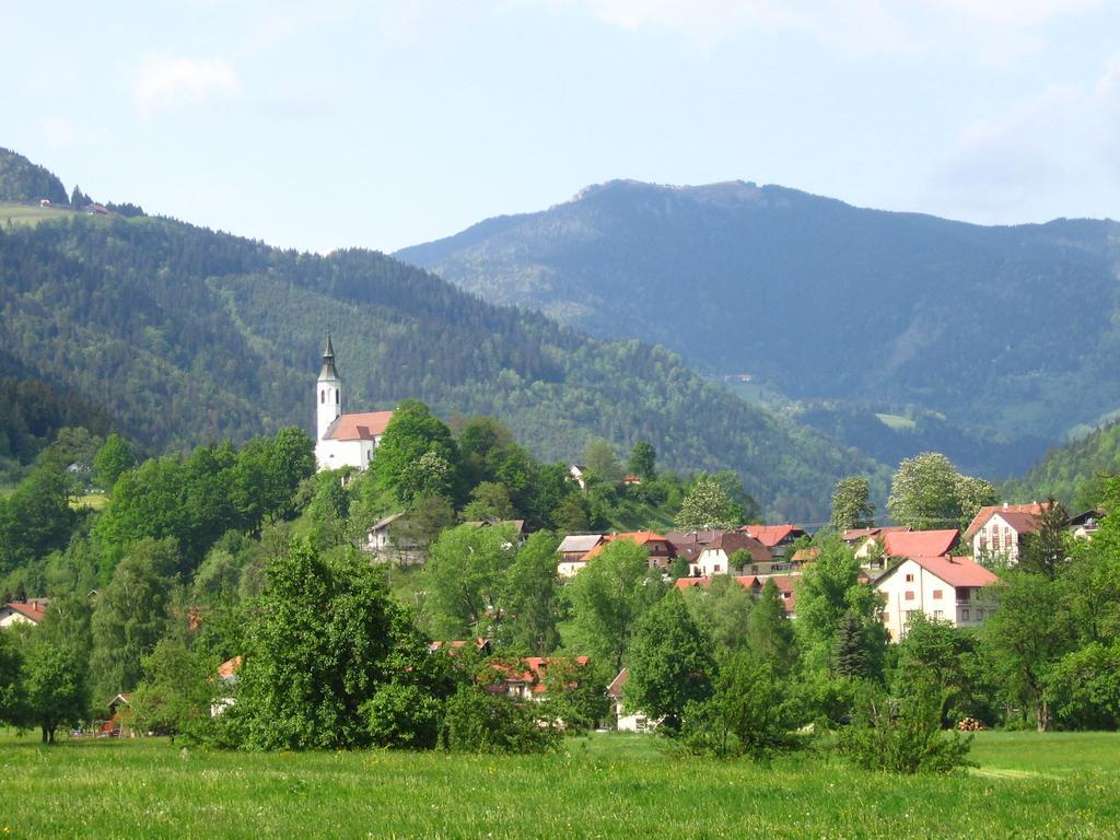 Farm Stay Bukovje Ljubno Екстер'єр фото