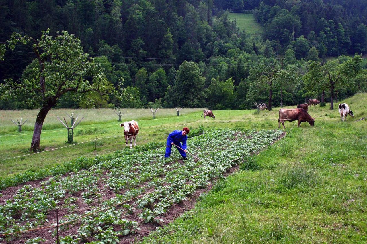 Farm Stay Bukovje Ljubno Екстер'єр фото